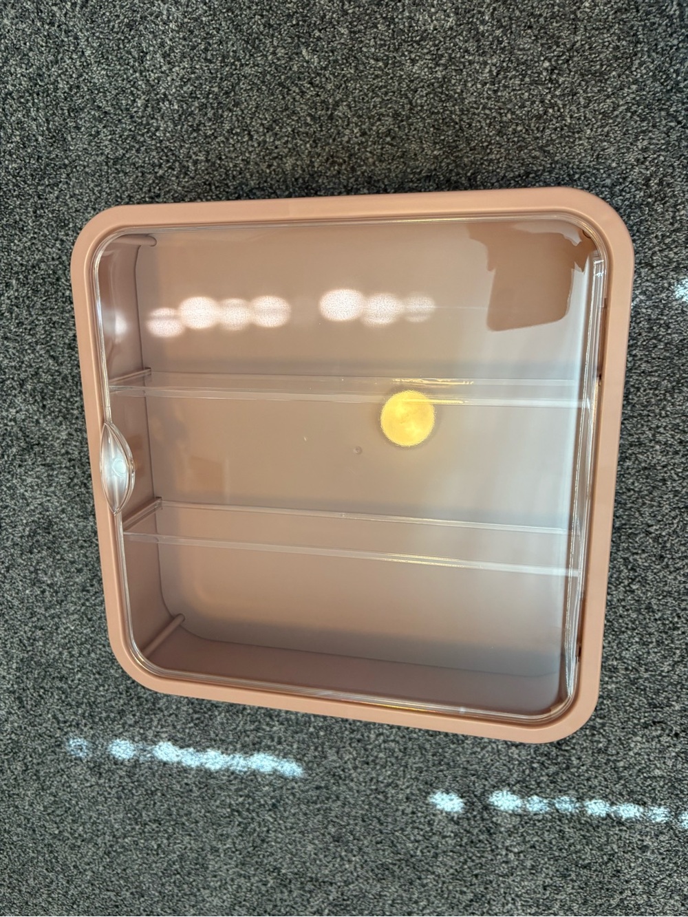 Figurine Display Case